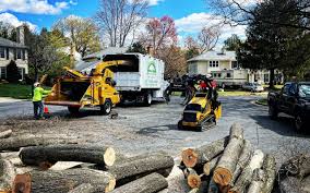 Seasonal Cleanup in Campbellsport, WI